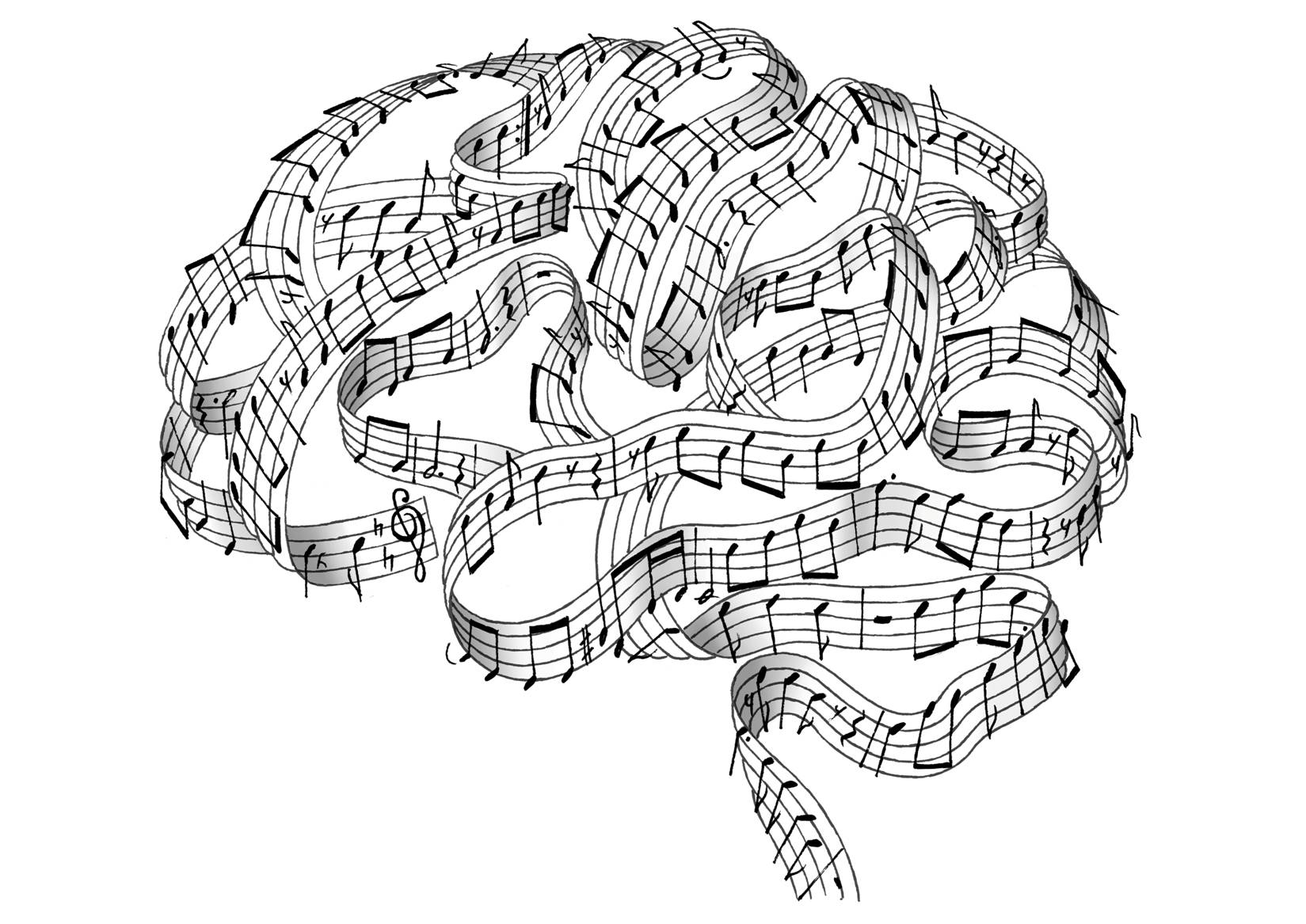 cerebro musica